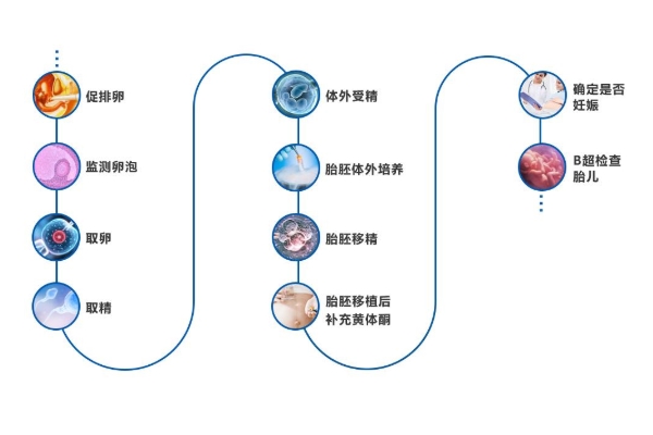 临沂借卵试管助孕-美国试管婴儿高成功率的关键因素分析