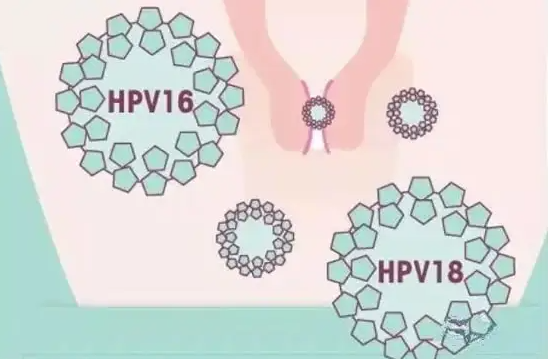 九江合法供卵电话：2023年杭州HPV疫苗接种信息! 附杭州hpv疫苗接种的建议。